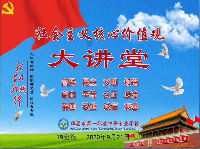 救援小蝙蝠